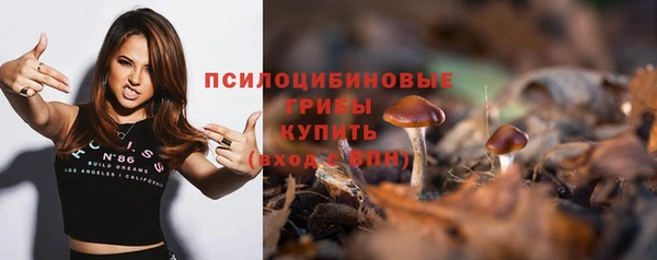 кокс Алексеевка