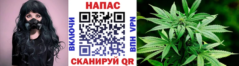 что такое   Любим  Бошки Шишки тримм 